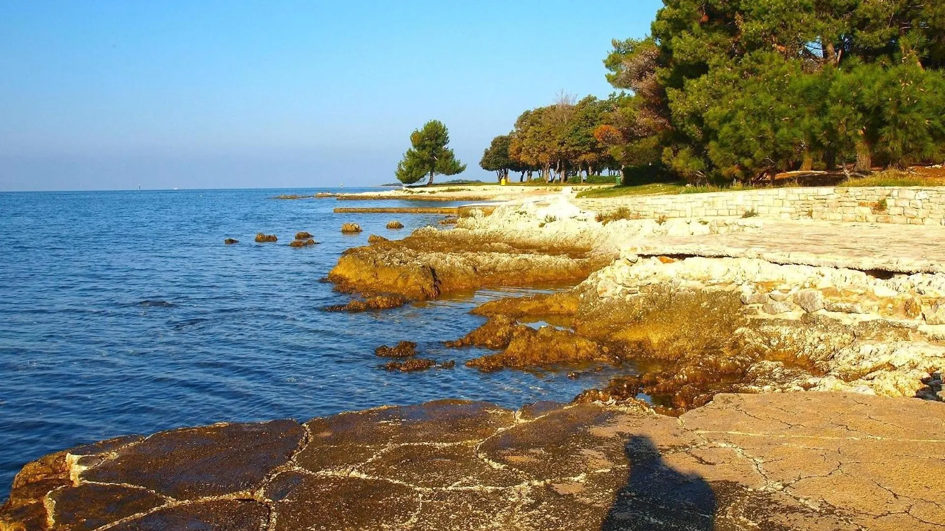 Apartment Ferienwohnung Fuer 4 Personen Ca 60 Qm In Cervar-Porat, Istrien Istrische Riviera Porec